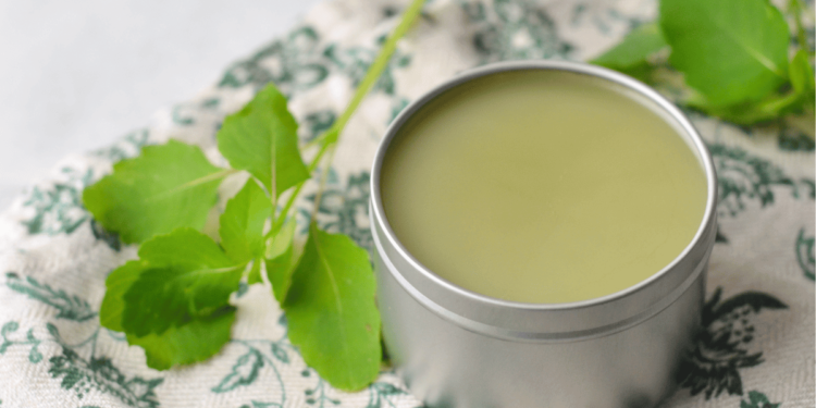 DIY Jewelweed Salve For Poison Ivy (and Extra!)