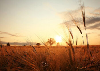 Humorous, Optimistic and Stunning Sayings for The Final Days of Summer time