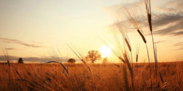 Humorous, Optimistic and Stunning Sayings for The Final Days of Summer time