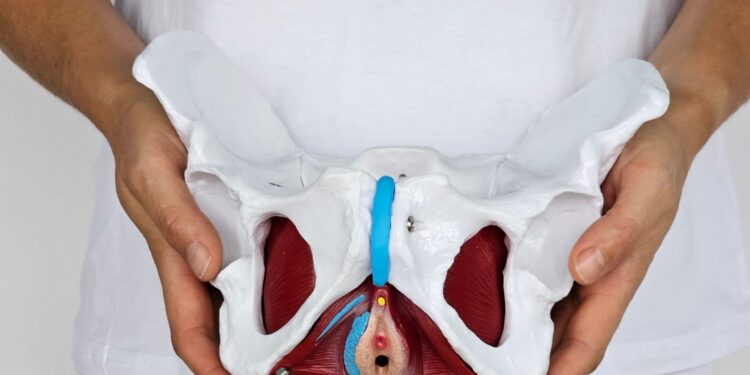 Your Pelvic Flooring, Defined: A Candid Q&A with Floored Creator Dr. Sara Reardon