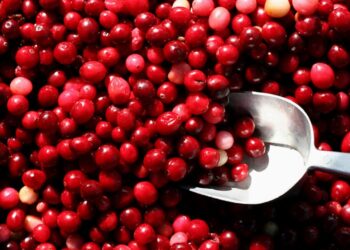 A Vaginal Probiotic Males Can Use? Sure, Hear Us Out…