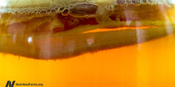 Ought to We Drink Kombucha 