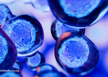 Dietary Parts That Might Trigger Most cancers to Metastasize 