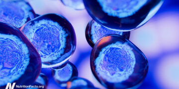 Dietary Parts That Might Trigger Most cancers to Metastasize 