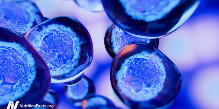 Dietary Parts That Might Trigger Most cancers to Metastasize