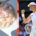 Tennis Star Iga Swiatek Swears By Pasta With Strawberries—Right here’s What a Dietitian Thinks