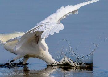 Existential Images as Dynamic Psychotherapy