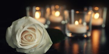 What Demise Taught Me About Life: A Aware Strategy to Grief, Loss, and Growing old