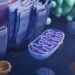 Mitochondrial illness prevented with donated genes : Pictures