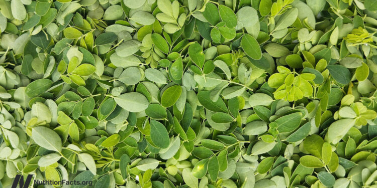 Is Moringa the Most Nutritious Meals? 