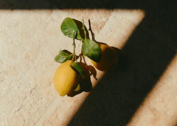 Is *This* Tea Useful For Weight Loss?