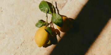 Is *This* Tea Useful For Weight Loss?