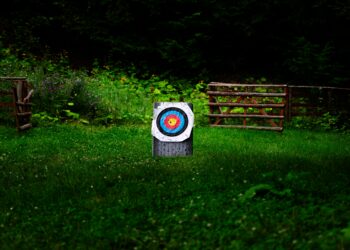 Do psychiatric dysfunction genes overlap with their drug targets?