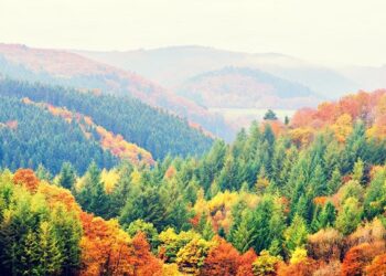 101 Inspirational Fall Quotes for a Constructive, Motivated and Completely happy Autumn Season