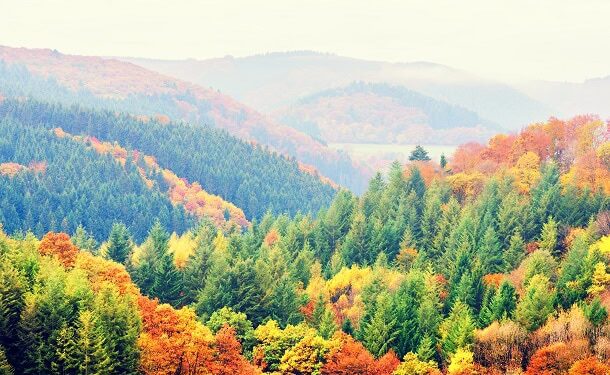 101 Inspirational Fall Quotes for a Constructive, Motivated and Completely happy Autumn Season