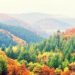101 Inspirational Fall Quotes for a Constructive, Motivated and Completely happy Autumn Season