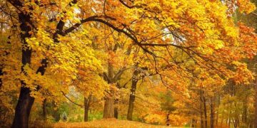 101 Inspirational October Quotes for Work and a Completely happy and Constructive Fall Month