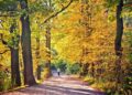 101 Inspirational September Quotes for a Motivated and Pleased Begin to Your Fall Season