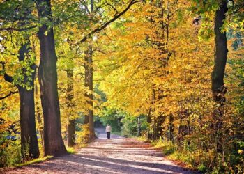 101 Inspirational September Quotes for a Motivated and Pleased Begin to Your Fall Season