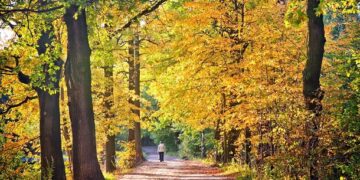 101 Inspirational September Quotes for a Motivated and Pleased Begin to Your Fall Season