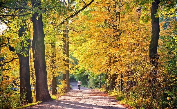 101 Inspirational September Quotes for a Motivated and Pleased Begin to Your Fall Season