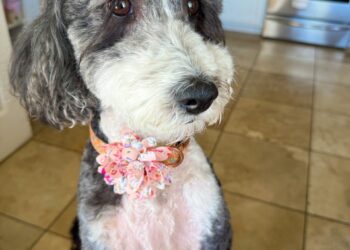 8.1 Friday Faves – The Fitnessista