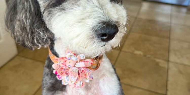 8.1 Friday Faves – The Fitnessista