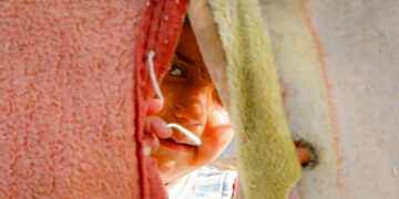 Beginning over: Publish-migration challenges skilled by refugees when integrating in a brand new nation