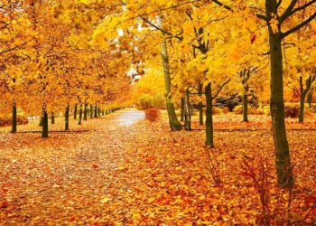 Inspirational, Humorous and Stunning Sayings to Welcome This Month