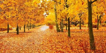 Inspirational, Humorous and Stunning Sayings to Welcome This Month