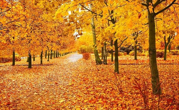 Inspirational, Humorous and Stunning Sayings to Welcome This Month