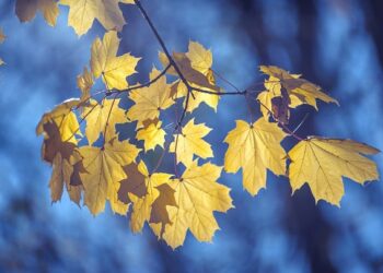 Inspirational, Humorous and Optimistic Sayings