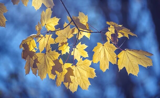 Inspirational, Humorous and Optimistic Sayings