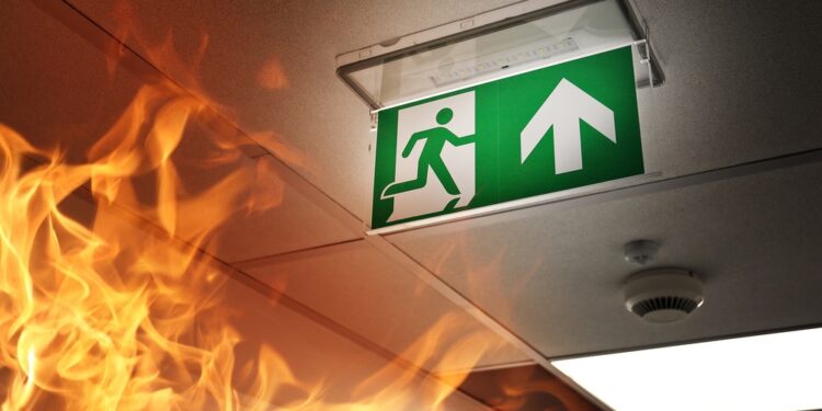 Alarm bells ringing: how do folks with ADHD course of sensory data?