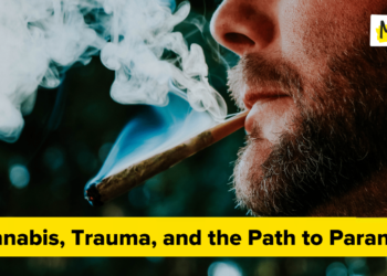 Hashish, Trauma, and the Path to Paranoia