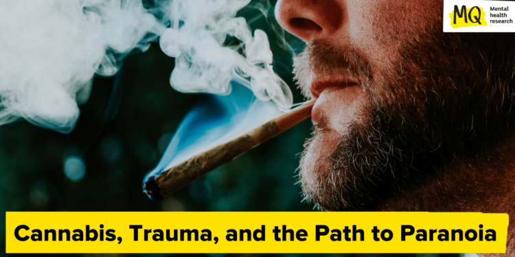 Hashish, Trauma, and the Path to Paranoia