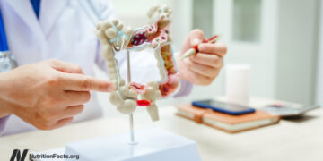 The Validity of SIBO Assessments 