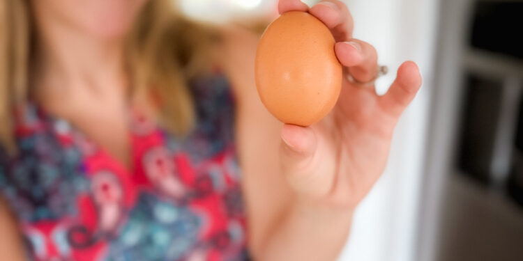 10 Meals I At all times Have in My Fridge (And How I Use Them!) • Kath Eats