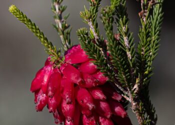 20 Relationship Pink Flags Sadly Ignored for Months