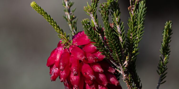 20 Relationship Pink Flags Sadly Ignored for Months