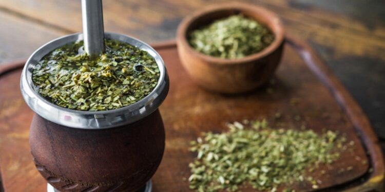 Can Yerba Mate Assist You Lose Weight? The Reply, Right here