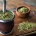 Can Yerba Mate Assist You Lose Weight? The Reply, Right here