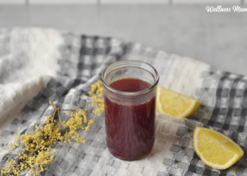 Easy Elderberry Wellness Photographs Recipe