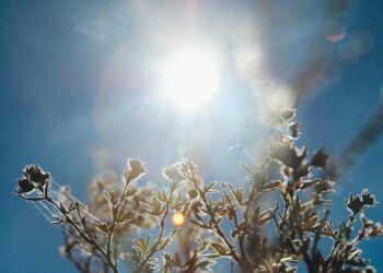 How To Construct a Bloat-Free Morning Routine