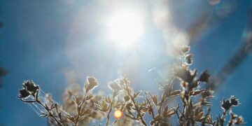 How To Construct a Bloat-Free Morning Routine