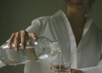 Repair Your Digestion: Probiotics for Intestine Well being