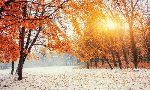 Uplifting, Humorous and Inspirational Sayings