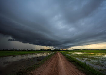 mapping the prodrome of extreme psychological issues