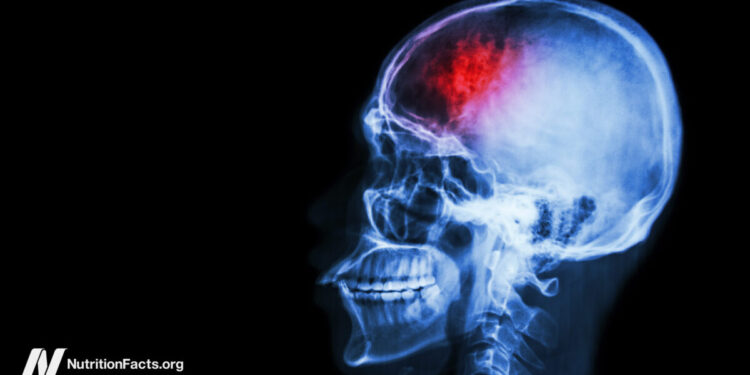 Fasting and Plant-Based mostly Diets for Migraines and Traumatic Mind Accidents