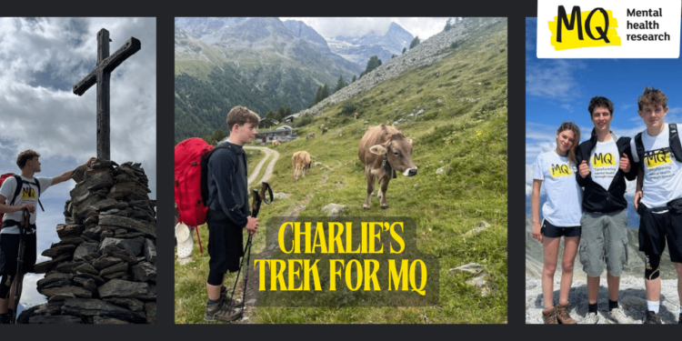 Mountaineering The Swiss Alps For Psychological Well being Analysis